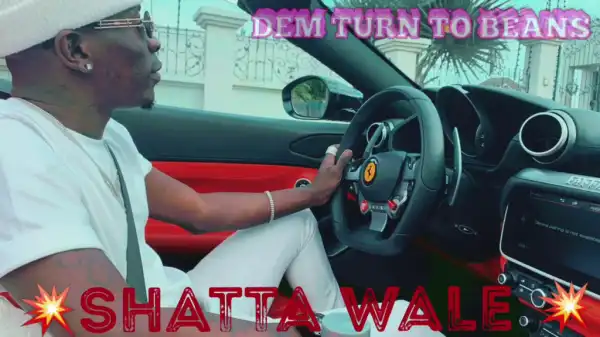 Shatta Wale - Dem Turn To Beans